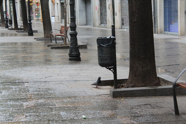 Photography Image 15